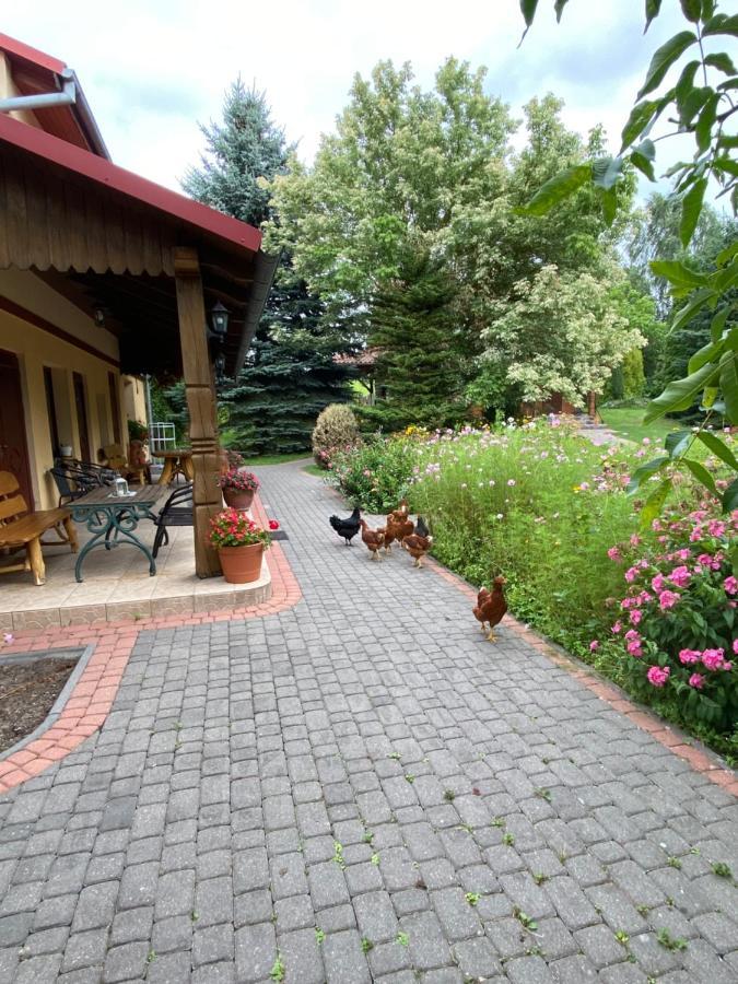 Villa Agroturystyka Pod Podkowa à Mrągowo Extérieur photo