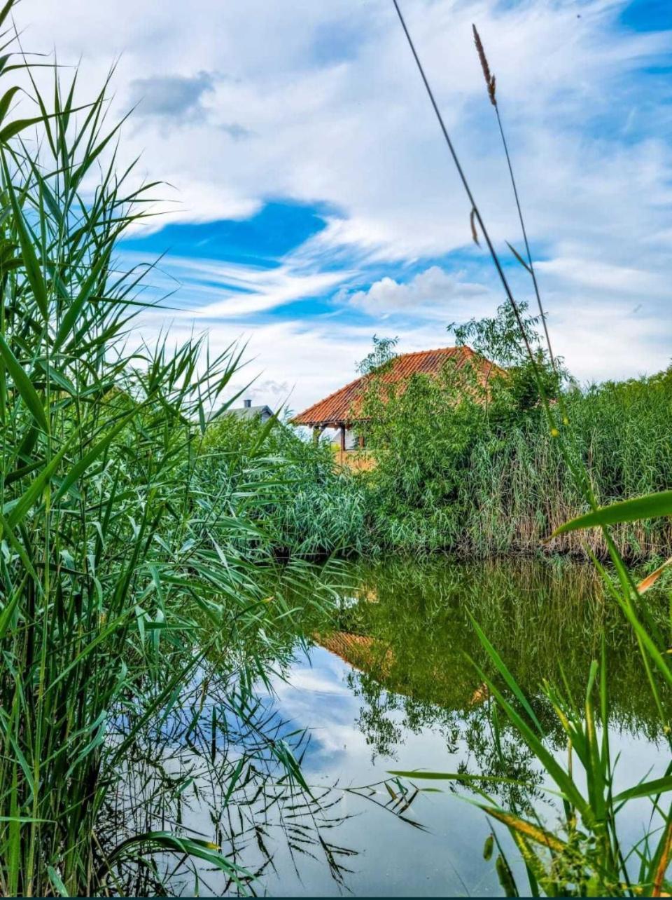 Villa Agroturystyka Pod Podkowa à Mrągowo Extérieur photo