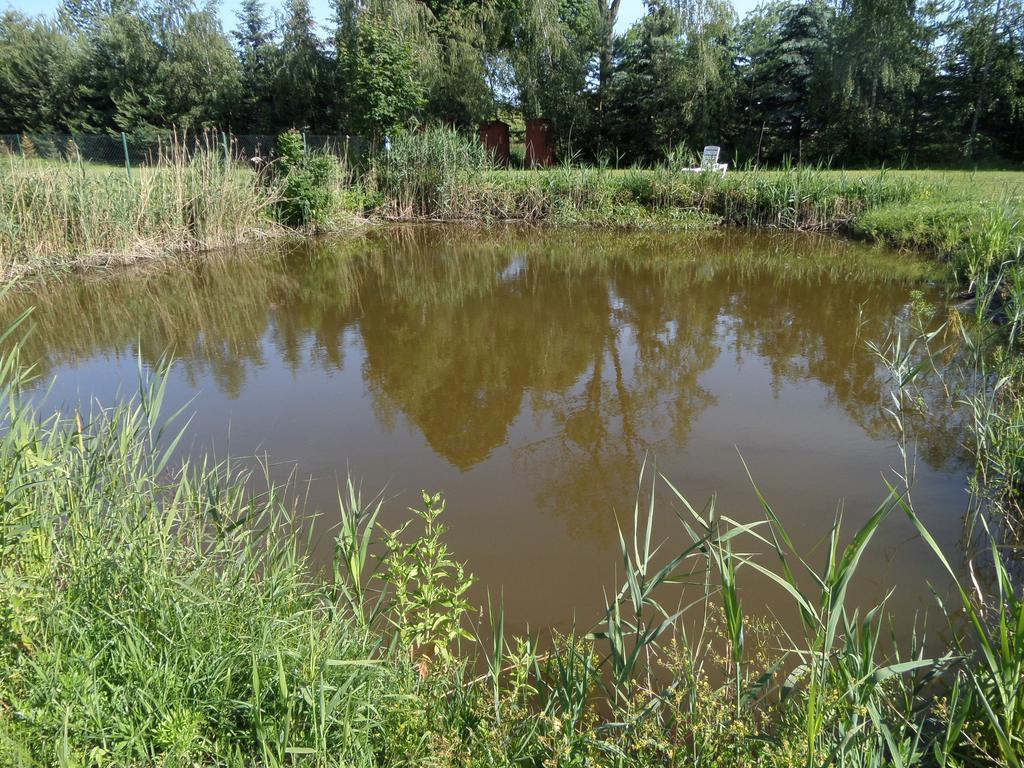 Villa Agroturystyka Pod Podkowa à Mrągowo Extérieur photo